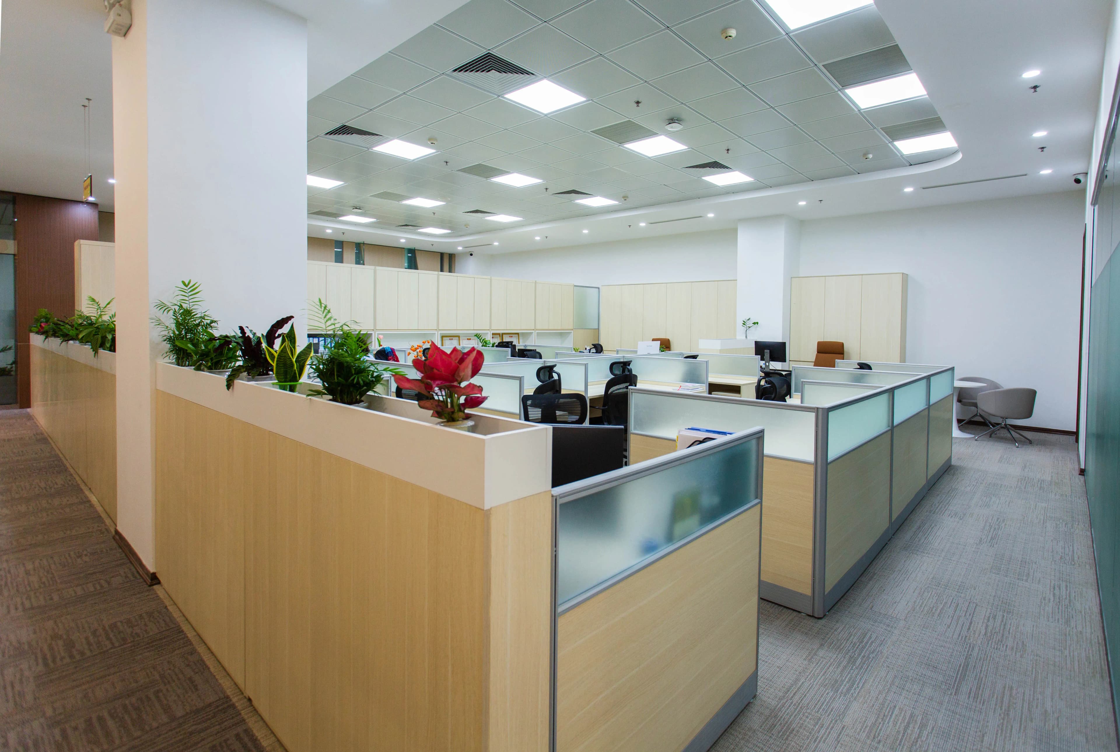 Aydınlık, açık planlı modern bir ofis ve karşılama alanı
